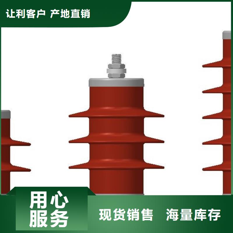 青岛电站型氧化锌避雷器避雷器HY10WZ-96/250产品参数