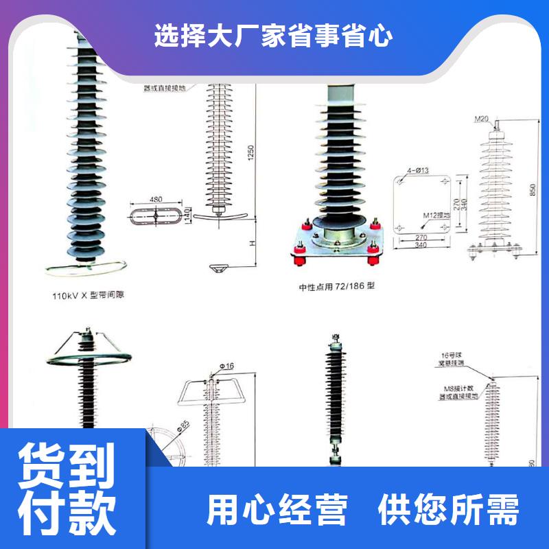 上海阀式避雷器FZ2-40生产厂家