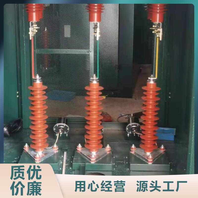 扬州电气化铁道保护用氧化锌避雷器Y10WT-100/260