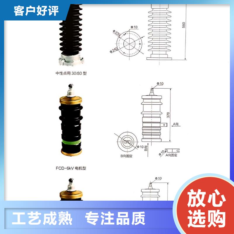 衢州电站型氧化锌避雷器避雷器HY10WZ-102/266
