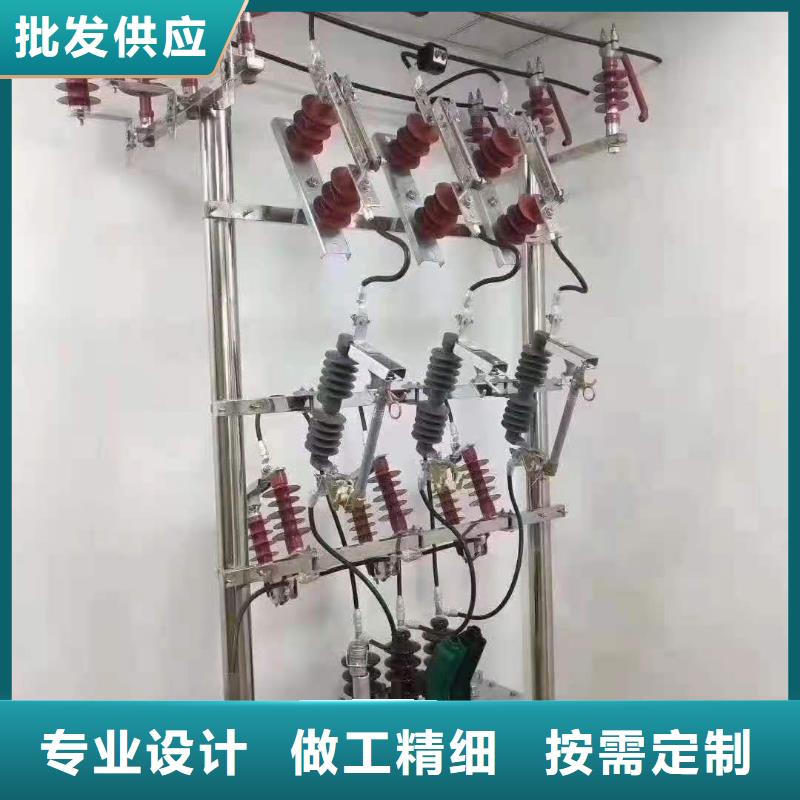 湖南跌落式熔断器高压氧化锌避雷器专业的生产厂家