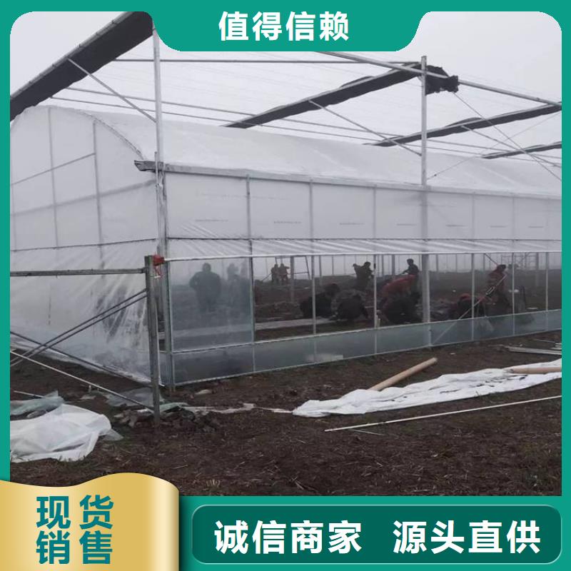 安徽省合肥长丰县葡萄用连体大棚钢管安装水平强