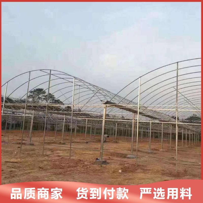 广西省河池凤山县连栋大棚钢管配件种类多样