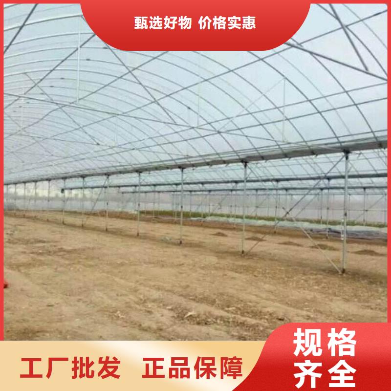 浙江省嘉兴秀洲区连栋钢管骨架蔬菜大棚管多年生产经验