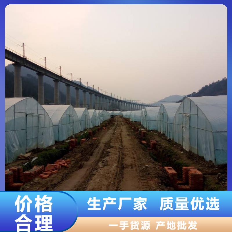肇庆大棚钢管厂提供专业安装团队