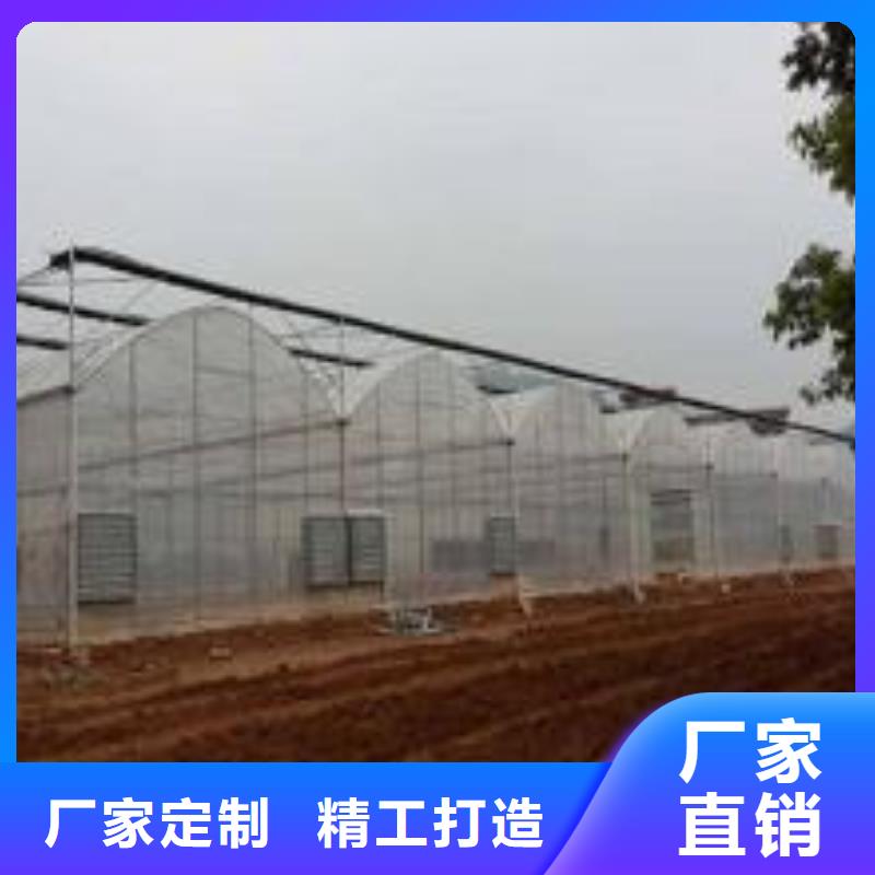 广西省柳城县多肉连体大棚管一个大棚多少钱