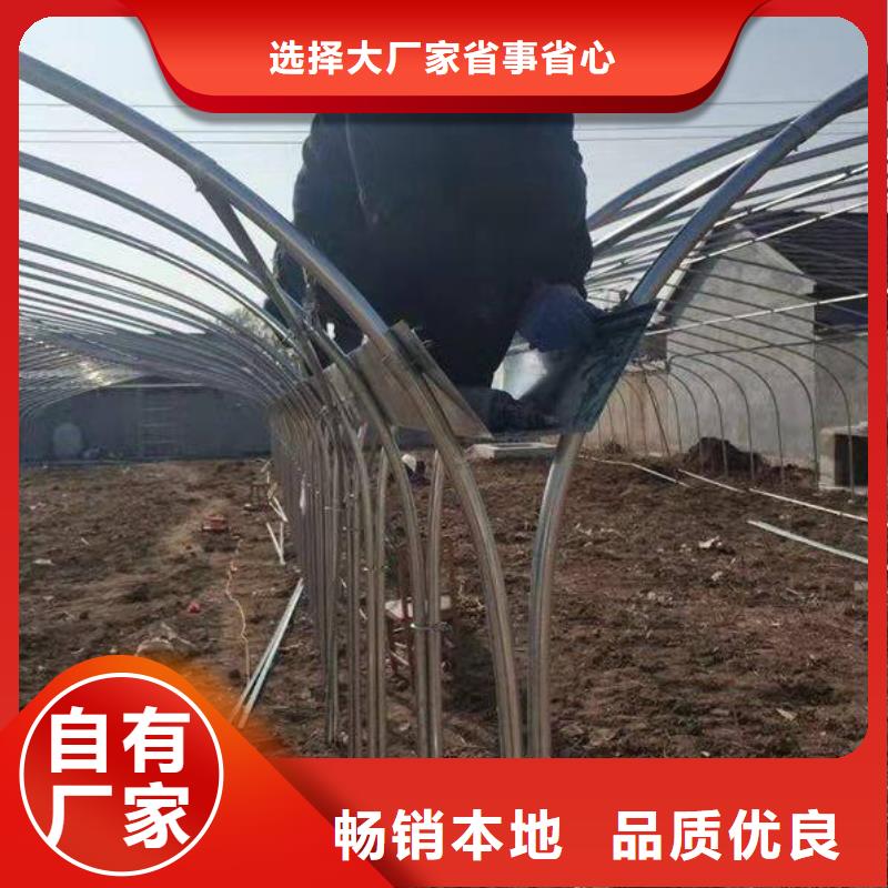 山东省淄博沂源县连体大棚钢管免费提供安装技术
