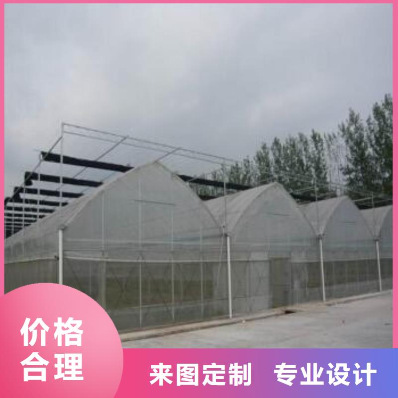 江西省上饶横峰县葡萄用连体大棚钢管十年建设经验
