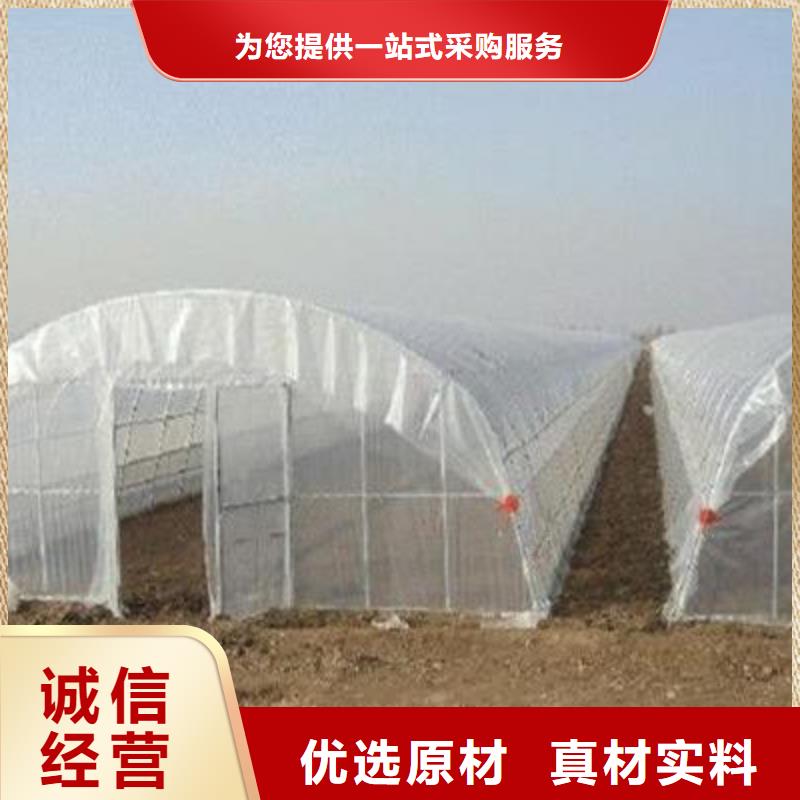 江西省上饶信州区连体大棚用镀锌管 热搜泽沃厂家