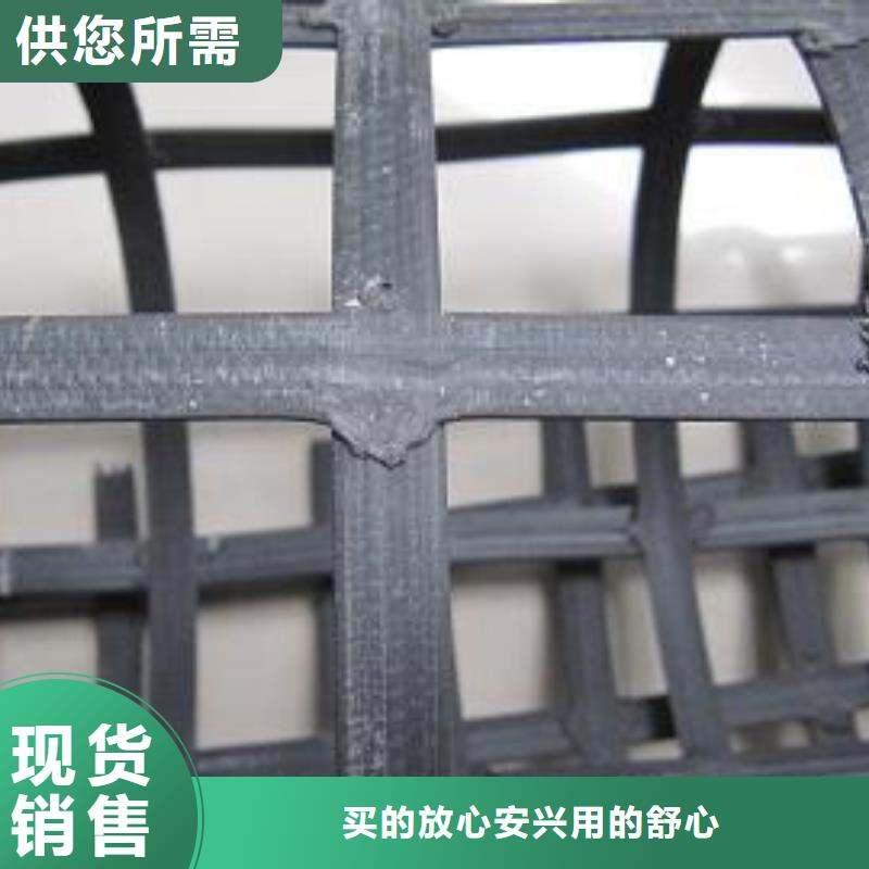 广西钢塑土工格栅三维复合排水网用心做产品