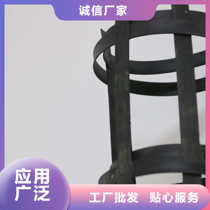 上海钢塑土工格栅【价格】