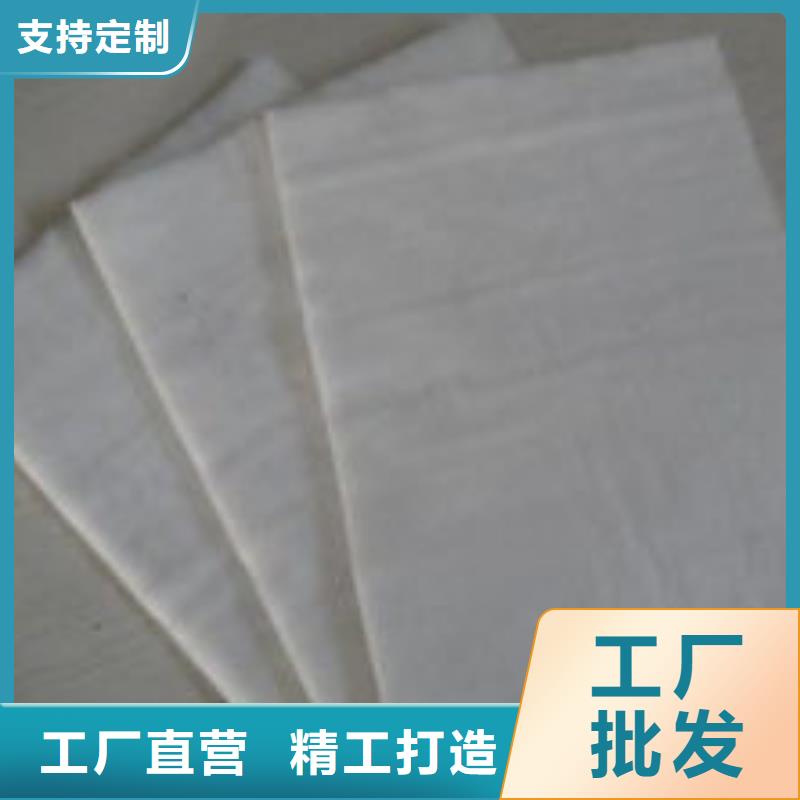 乐东县短丝土工布-长丝土工布厂家批发定制速度快工期短