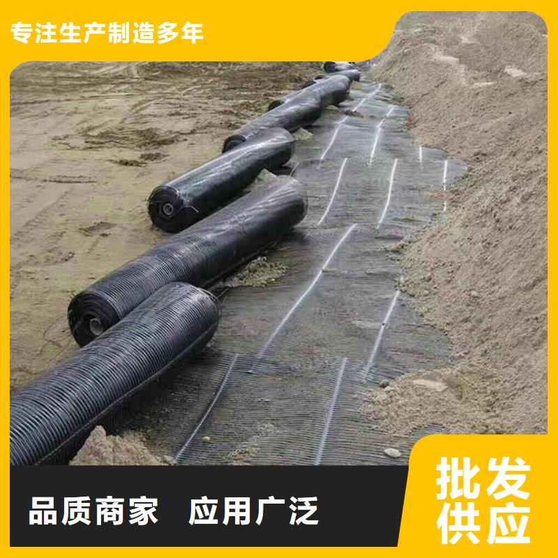 上海单向塑料土工格栅长丝土工布核心技术