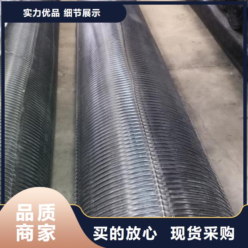 北京单向塑料土工格栅毛细排水板货源直销
