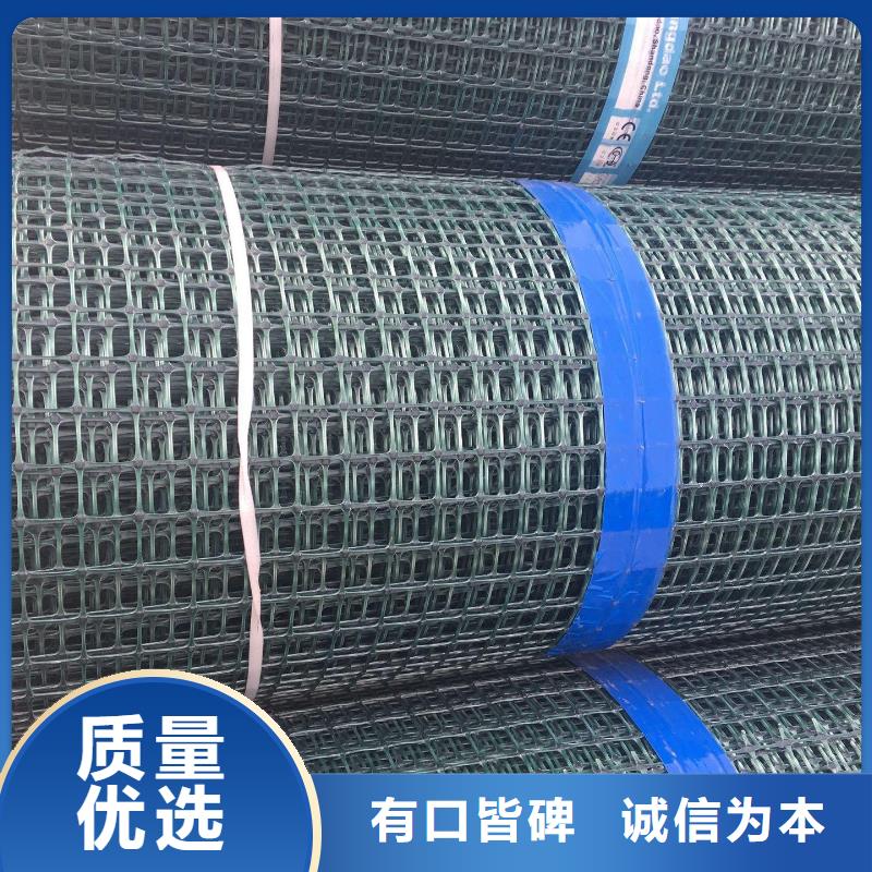 乐东县煤矿井下塑料网片抗阻燃双向塑料格栅双向拉伸塑料土工格栅-亿路通