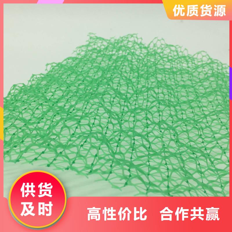 忻州三维植被网|三维土工网垫【三维植被网厂家