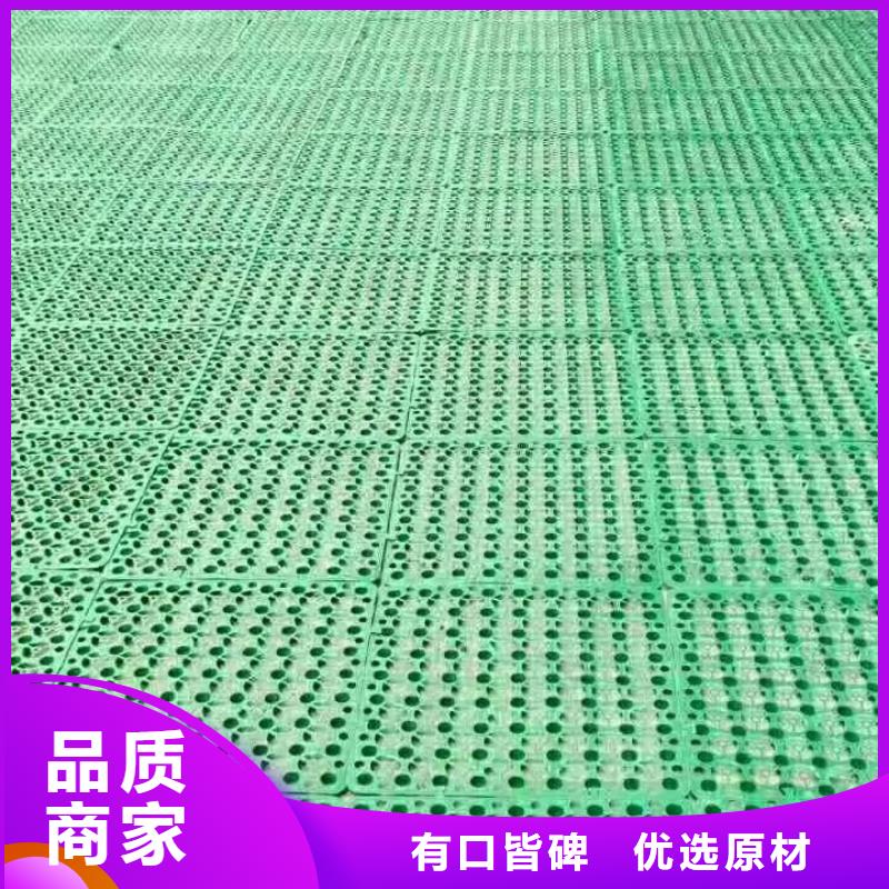 朔州三维植被网生产厂家生产高质量三维植被网-三维土工网