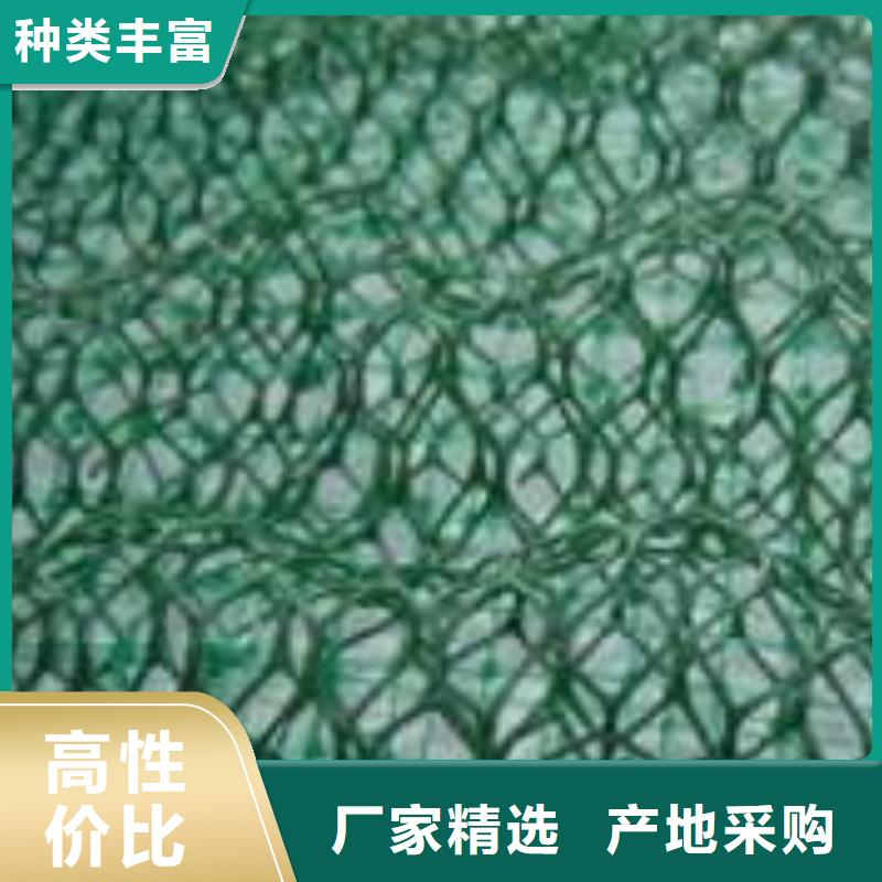 三维植被网长丝土工布生产厂家优选好材铸造好品质