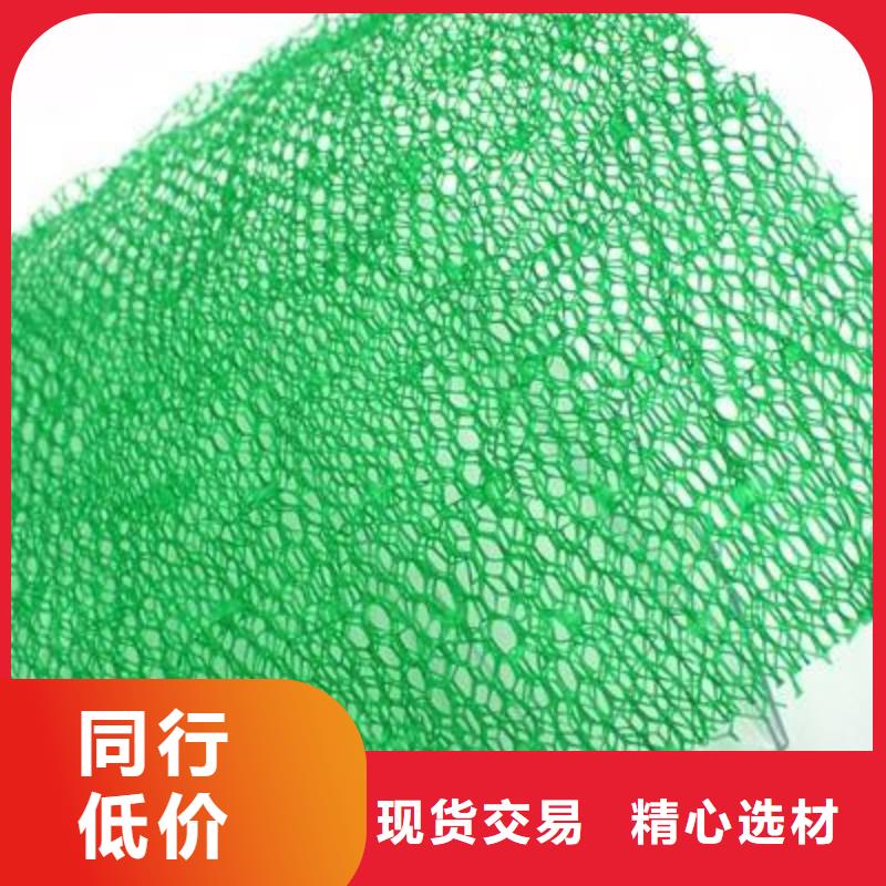 荆州植草格-三维植被网-塑料排水管