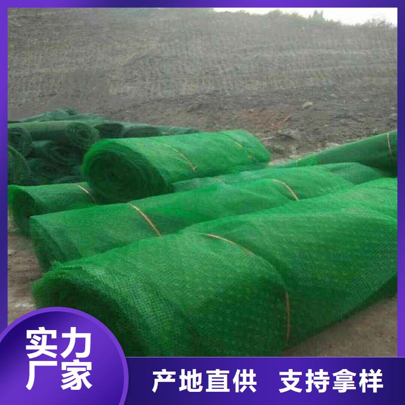 三维植被网|三维土工网垫【三维植被网厂家附近生产商