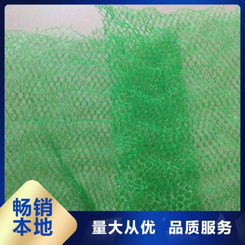 【三维植被网】三维复合排水网超产品在细节精益求精