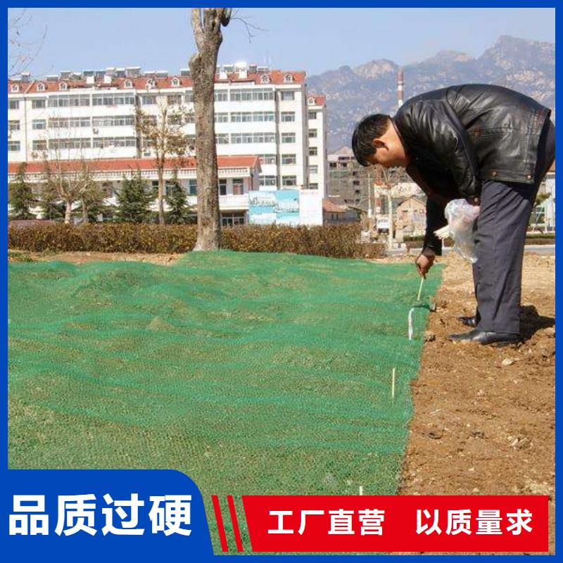 荆州钢塑土工格栅厂家|三维植被网厂家|软式透水管等土工合成材