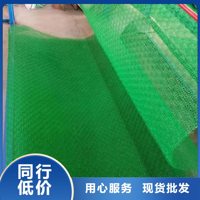三维植被网|三维网垫植草护坡|三维土工网垫厂家价格透明