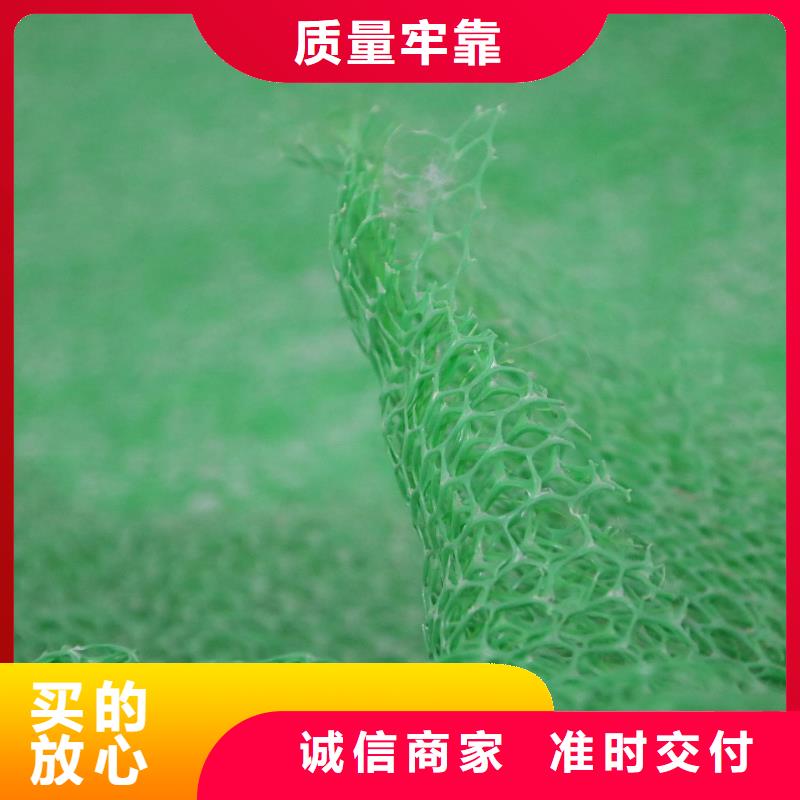 【三维植被网-单向塑料土工格栅产品细节参数】实体厂家