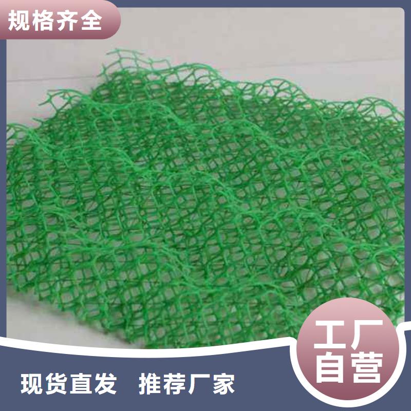江门三维植被网-塑料-蓄排水板-双向塑料土工格栅-软式透水管