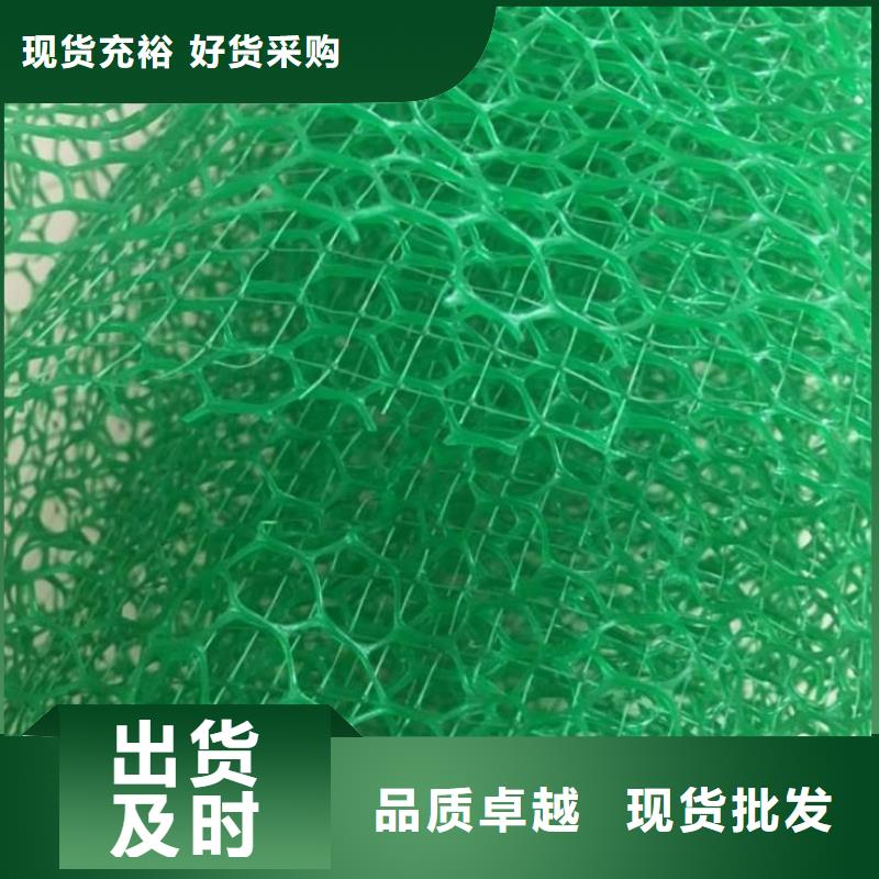 揭阳三维植被网|三维网垫植草护坡|三维土工网垫厂家