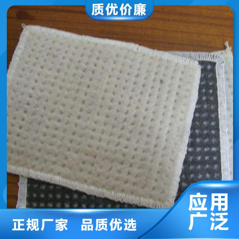 汕尾膨润土防水毯(2)-防水毯系列-土工材料生产厂家