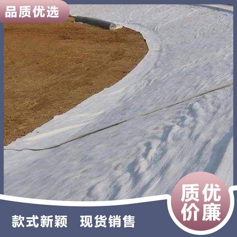 桂林土工膜_土工布_复合排水板_HDPE防渗膜_膨润土防水毯