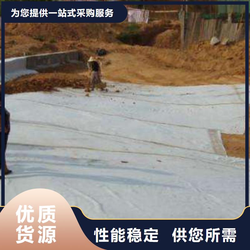 上海【膨润土防水毯】 蜂巢格室厂家品控严格