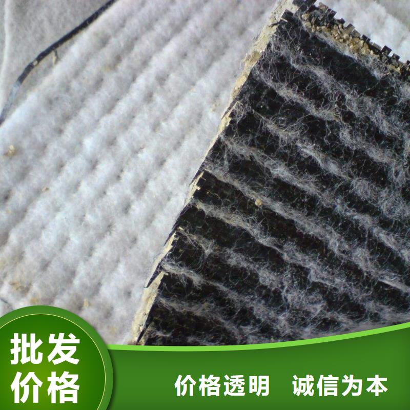 土工膜_土工布_复合排水板_HDPE防渗膜_膨润土防水毯支持定制加工
