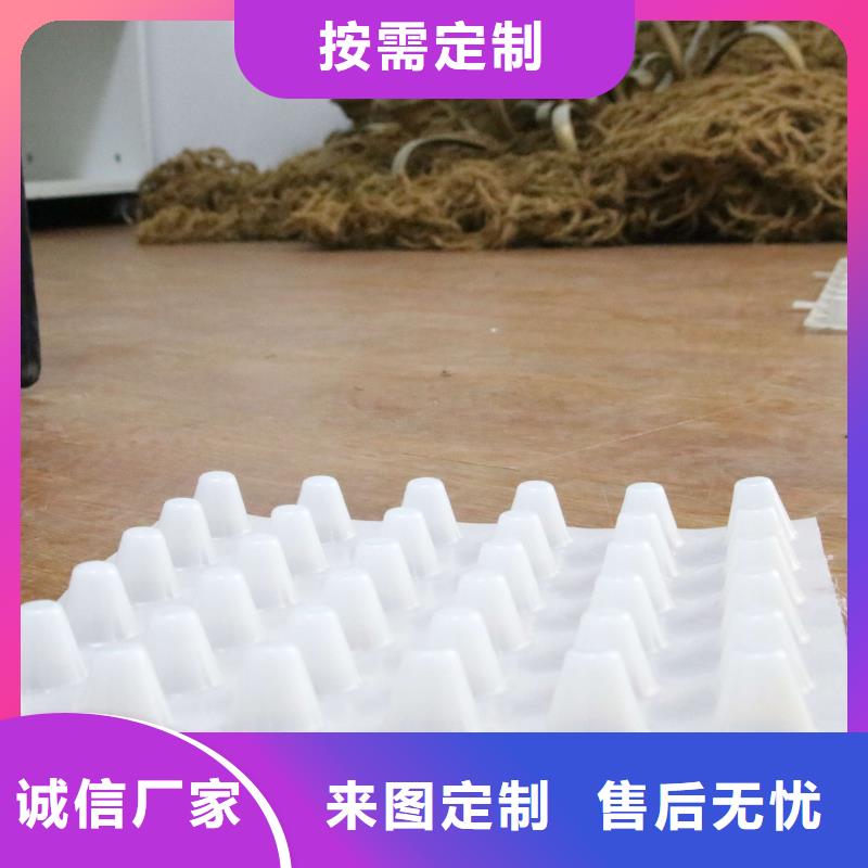 惠州塑料排水板-植草格-防渗膜-土工膜厂家