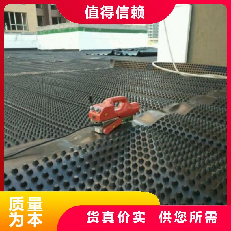 台州塑料排水板的施工工艺_排水板厂家直销_园林绿化排水板