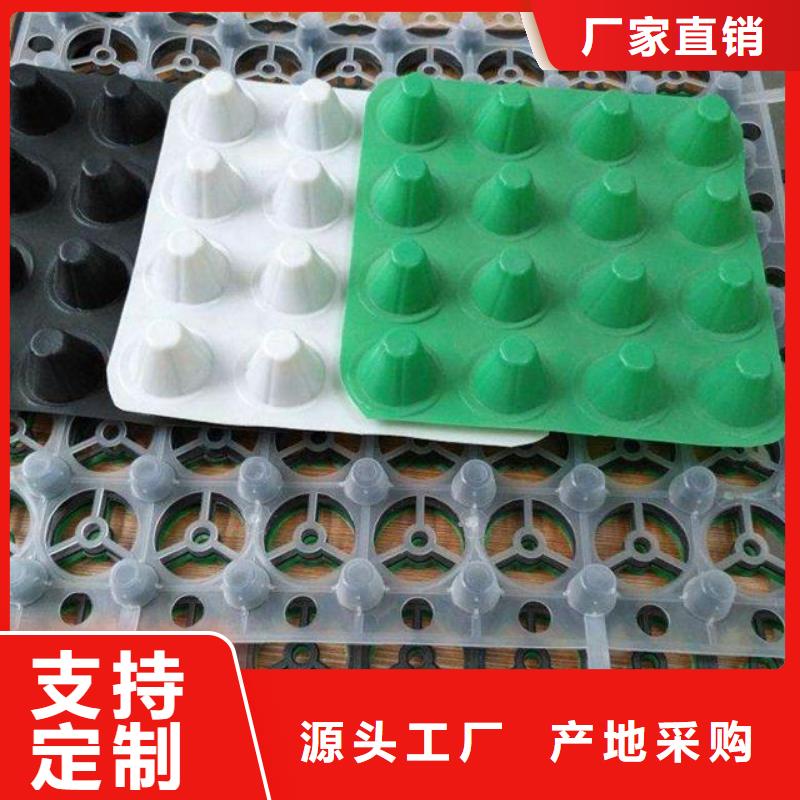 大连塑料防护排水板】塑料防护排水板价格_塑料凸片排水层