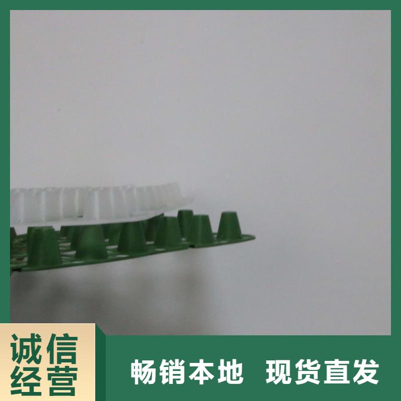 秦皇岛塑料防护排水板】塑料防护排水板价格_塑料凸片排水层