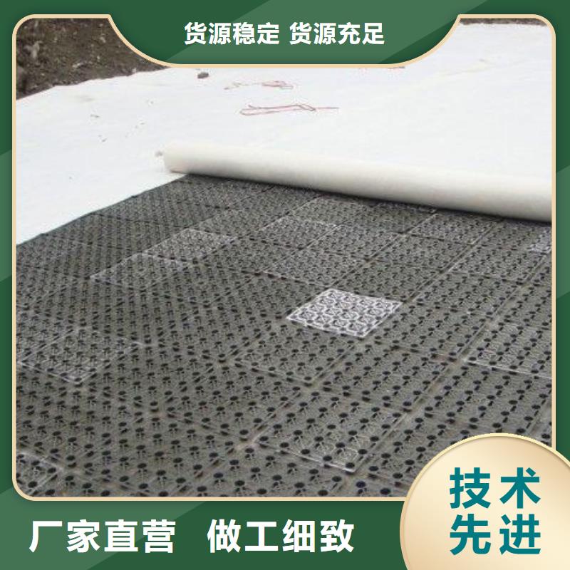 排水板【三维土工网垫】的简单介绍核心技术