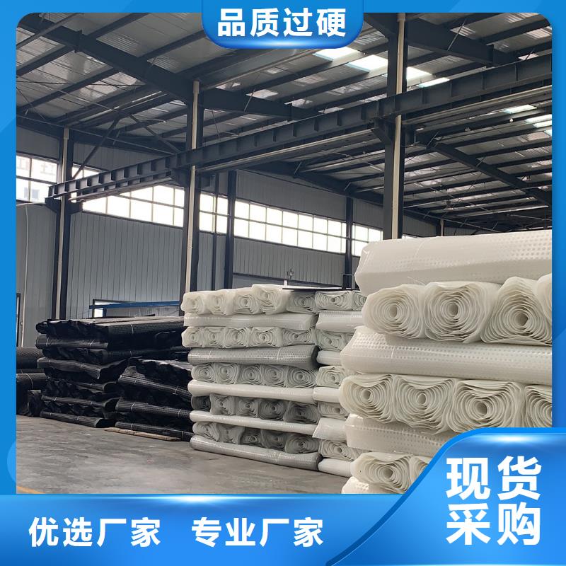 贵州塑料排水板的施工工艺_排水板厂家直销_园林绿化排水板