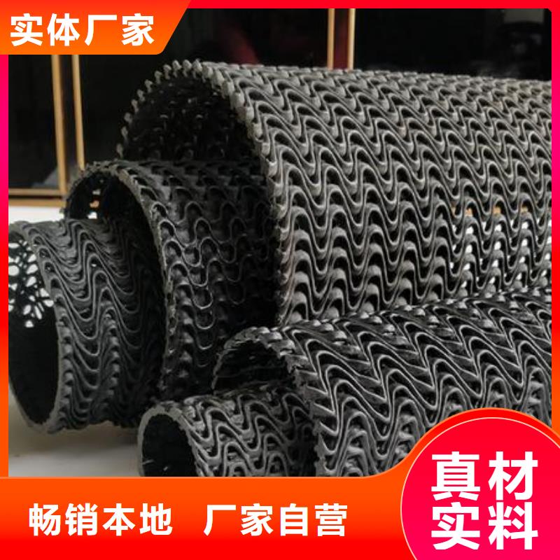 硬式透水管三维土工网垫快速生产好产品价格低