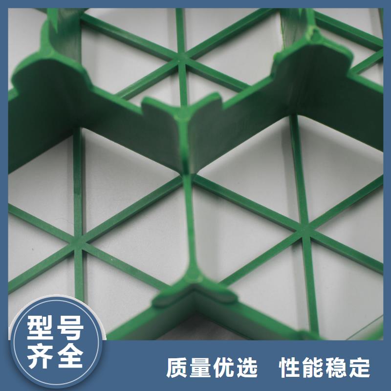 上海【植草格】,塑料盲沟助您降低采购成本