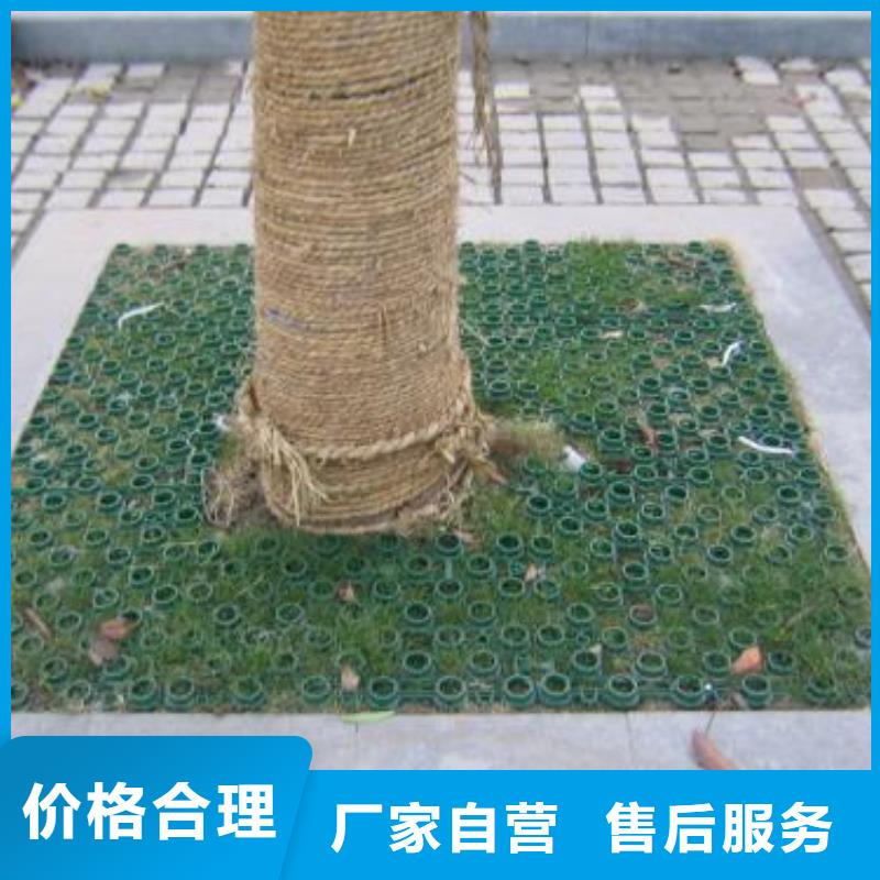 【植草格】TPO防水卷材货源稳定同城服务商