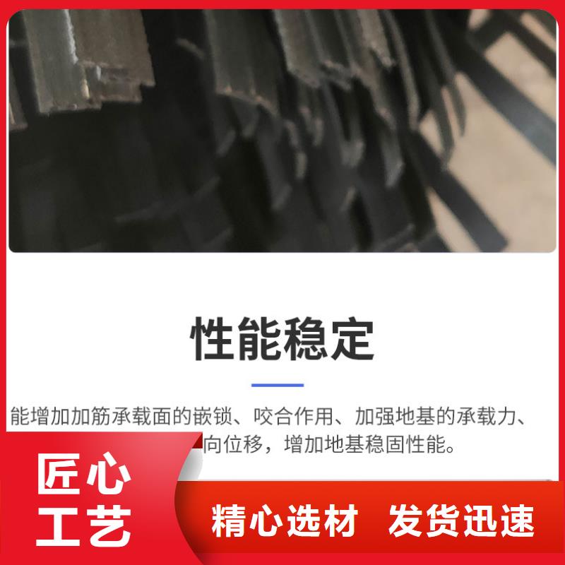 天津聚乙烯钢塑土工格栅-公路用质优价廉-品质保证