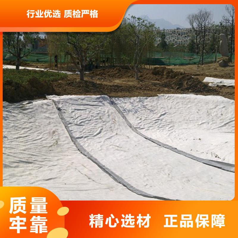 沧州河道膨润土防水毯多少钱一平方？