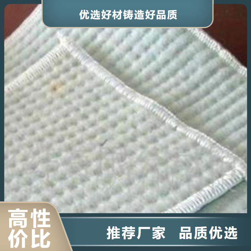 膨润土防水毯双向塑料土工格栅快速发货价格实惠工厂直供