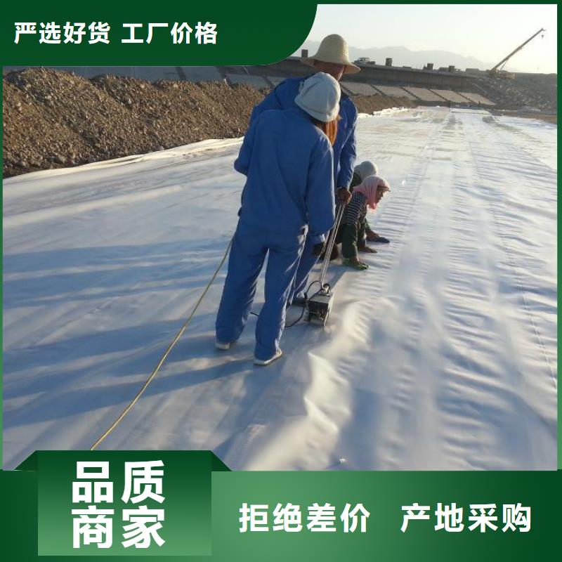 汉中垃圾填埋场用防渗膜多规格可定制