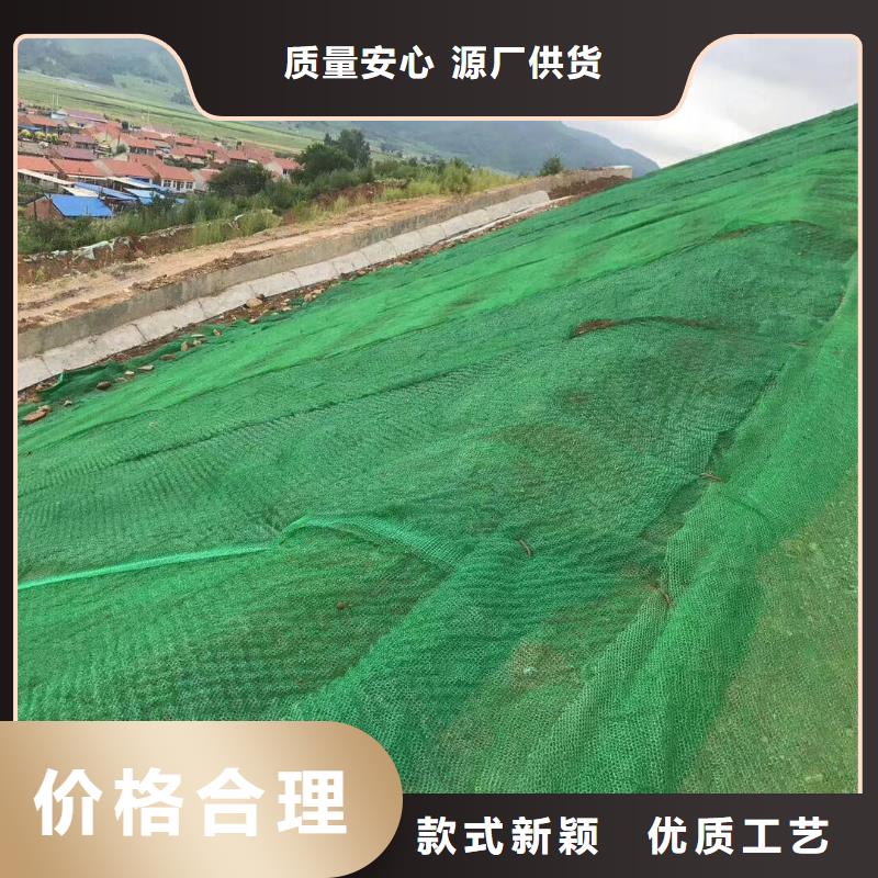 吉安边坡防护三维植被网厂家直销/质优价廉