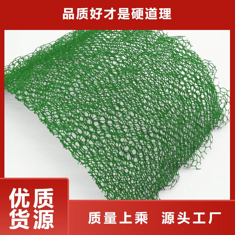 塑料三维植被网多规格可定制实力厂家