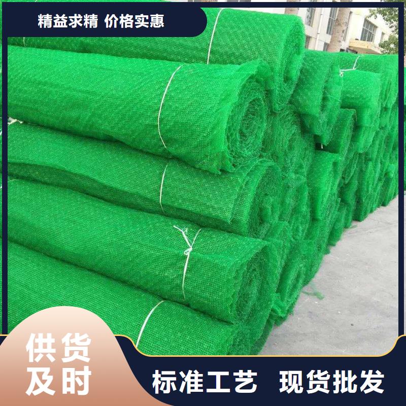 上海三维植被网塑料土工格栅真材实料加工定制